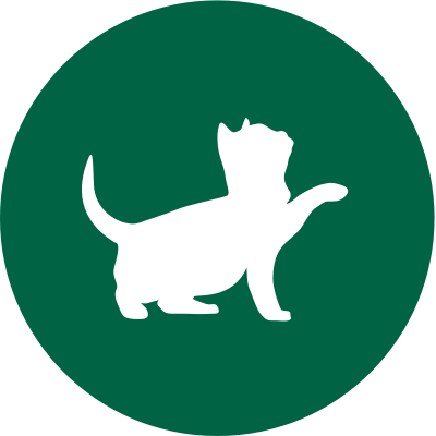 green kitten icon