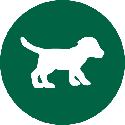 green puppy icon