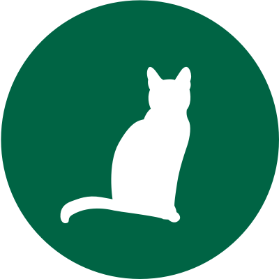 green senior cat icon