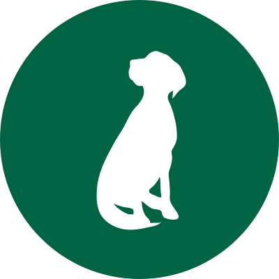 green senior dog icon