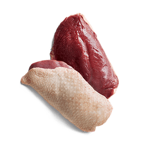  duck.png 