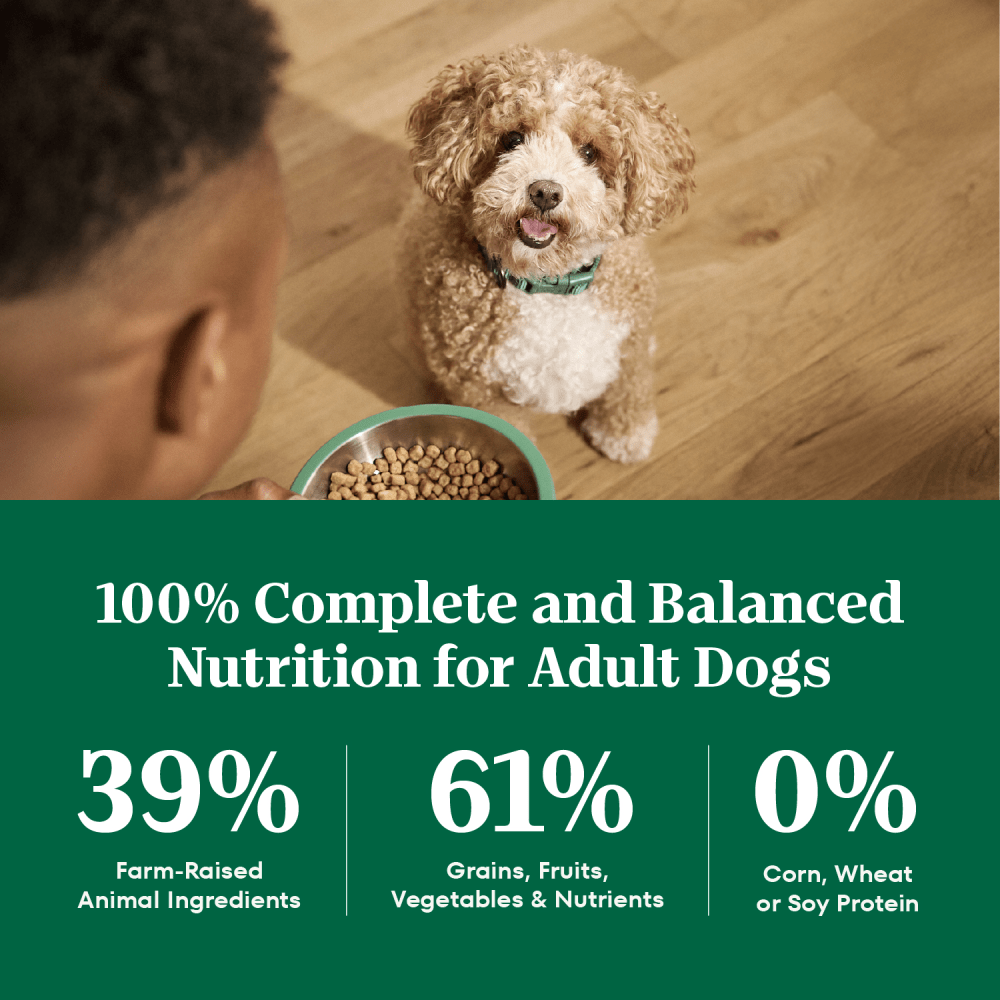 Natural Choice Adult Small Bites Dog Food, Lamb & Brown Rice guaranteed analysis image