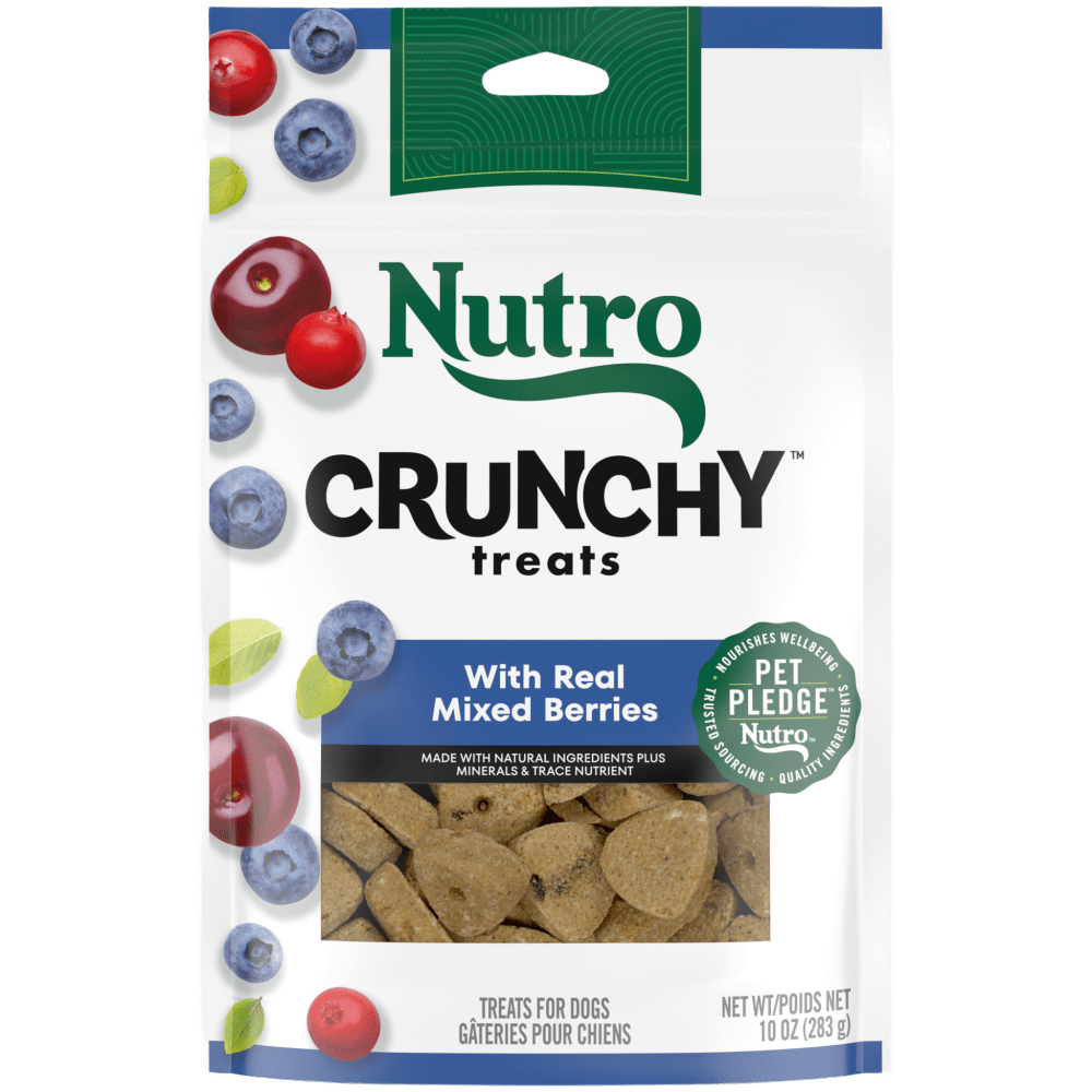 Crunchy Treats with Real Mixed Berries