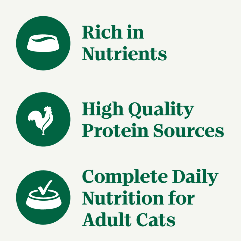 Chicken & Shrimp Pate Recipe Wet Cat Food