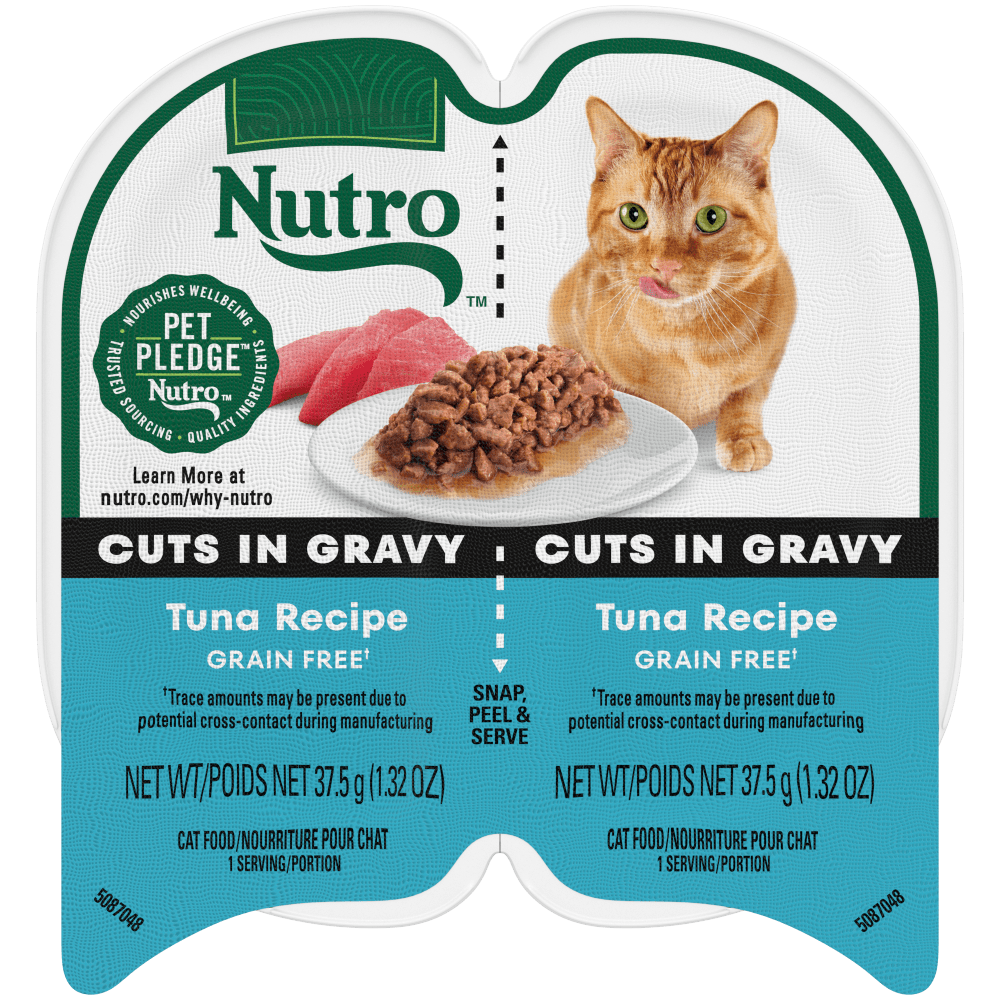 Tuna Recipe Cuts in Gravy