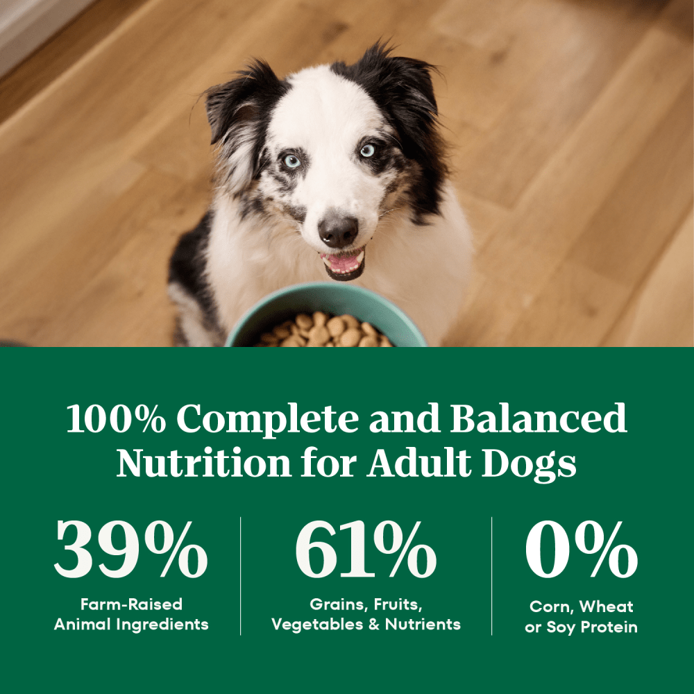 Natural Choice Adult Dry Dog Food, Lamb & Brown Rice Recipe guaranteed analysis image