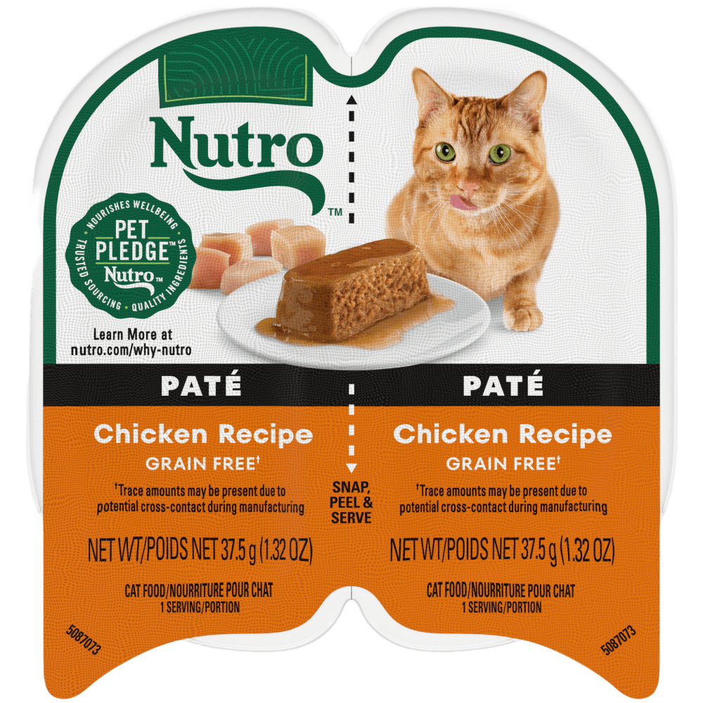 Is pate bad for dogs 2025