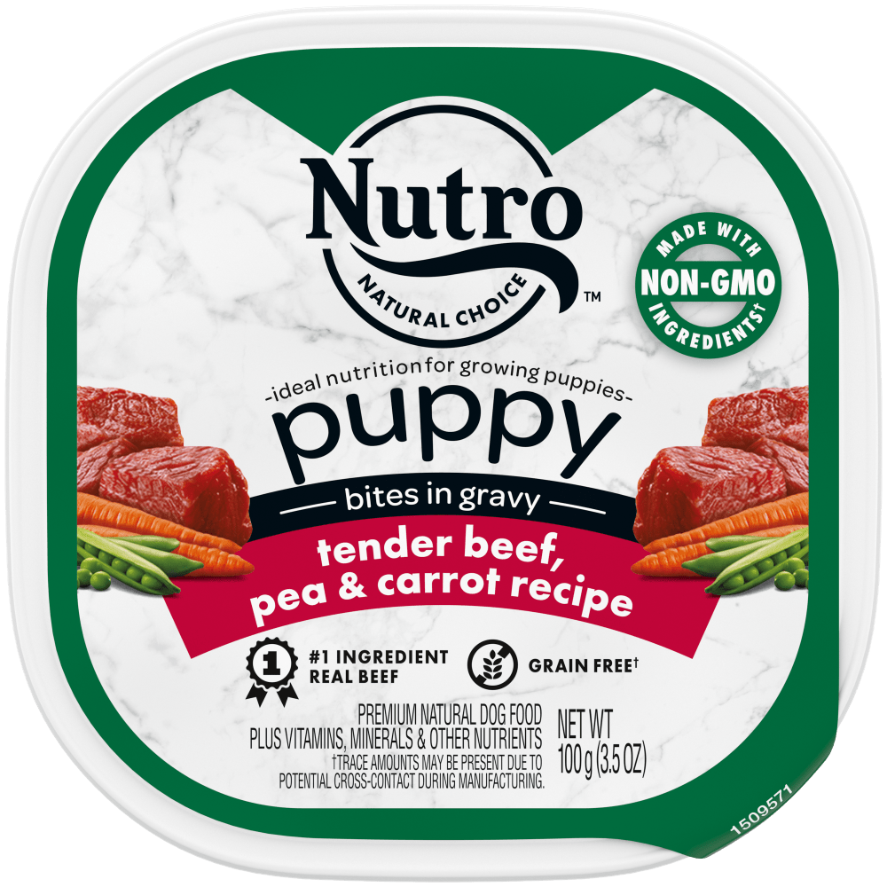 What Is Nutro Dog Food?