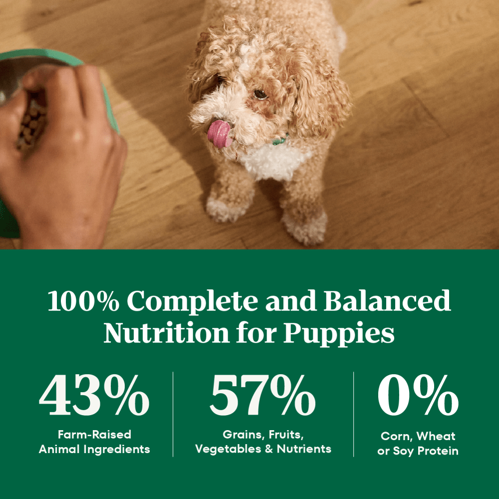 Natural Choice Adult Small Bites Dog Food, Salmon & Brown Rice guaranteed analysis image