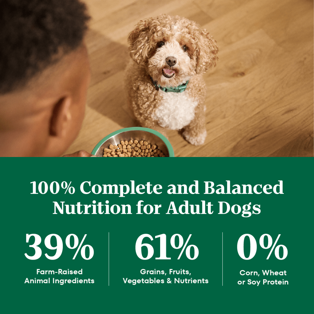 Natural Choice Adult Small Bites Dog Food, Lamb & Brown Rice guaranteed analysis image