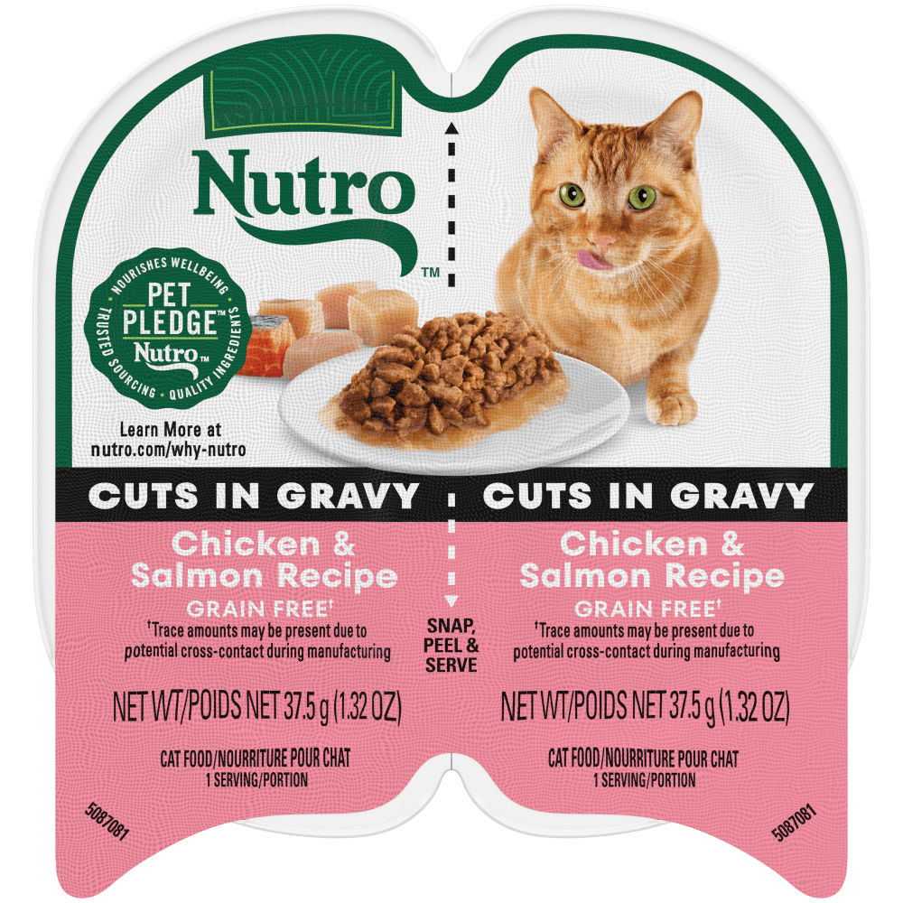 Cuts in Gravy Chicken Salmon Recipe