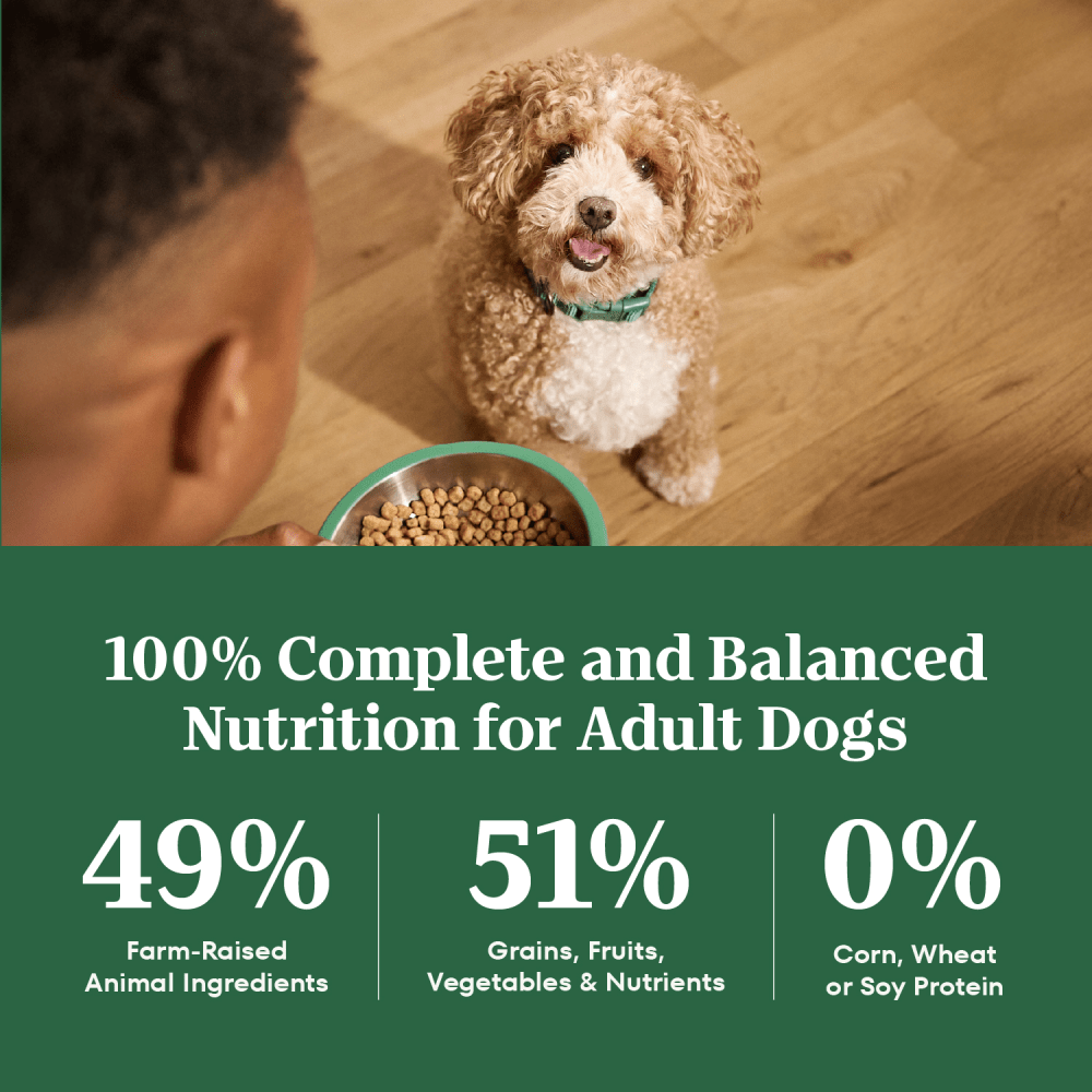 Natural Choice Small Breed Dog Food Dry, Chicken & Brown Rice guaranteed analysis image