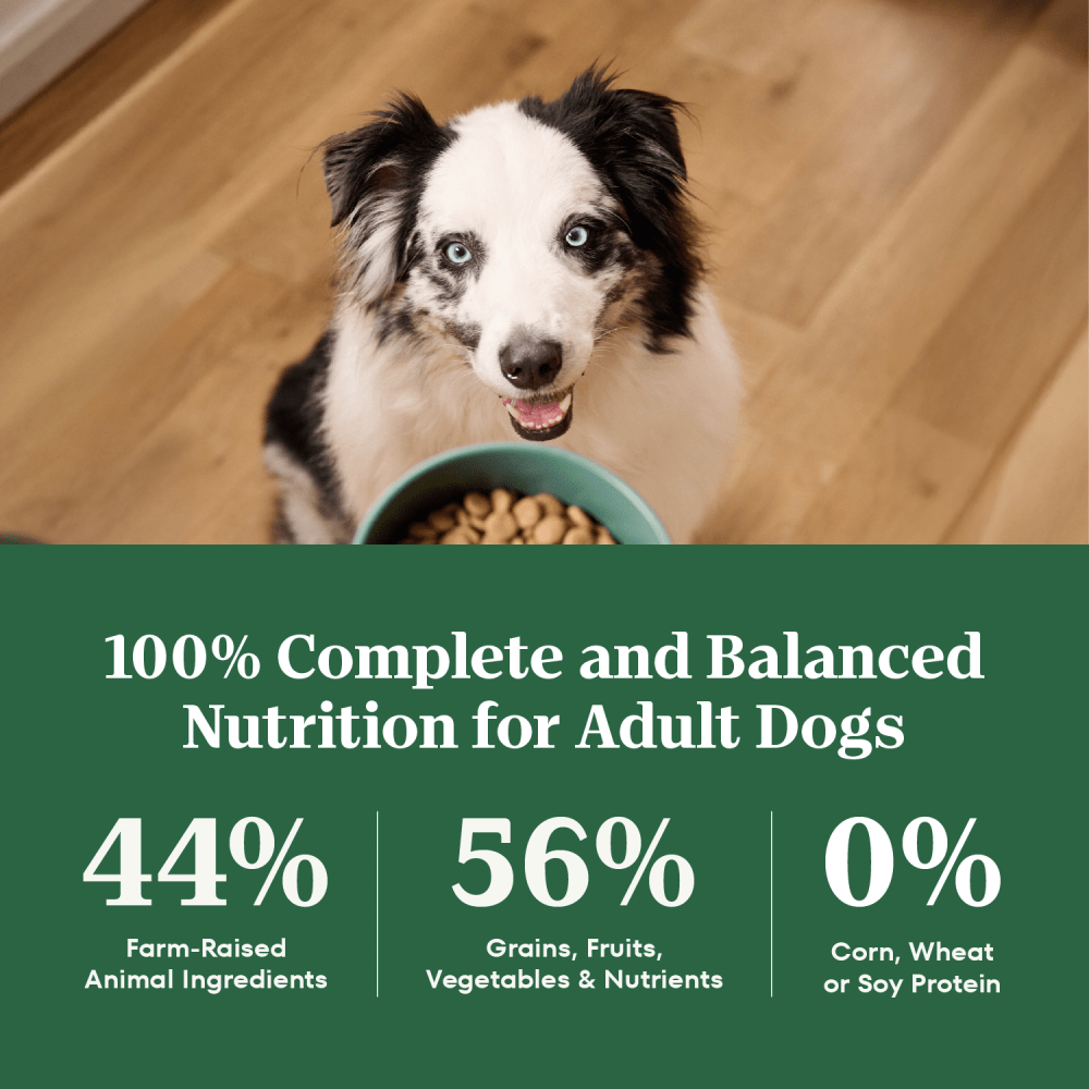 Natural Choice Adult Dry Dog Food, Chicken & Brown Rice Recipe guaranteed analysis image