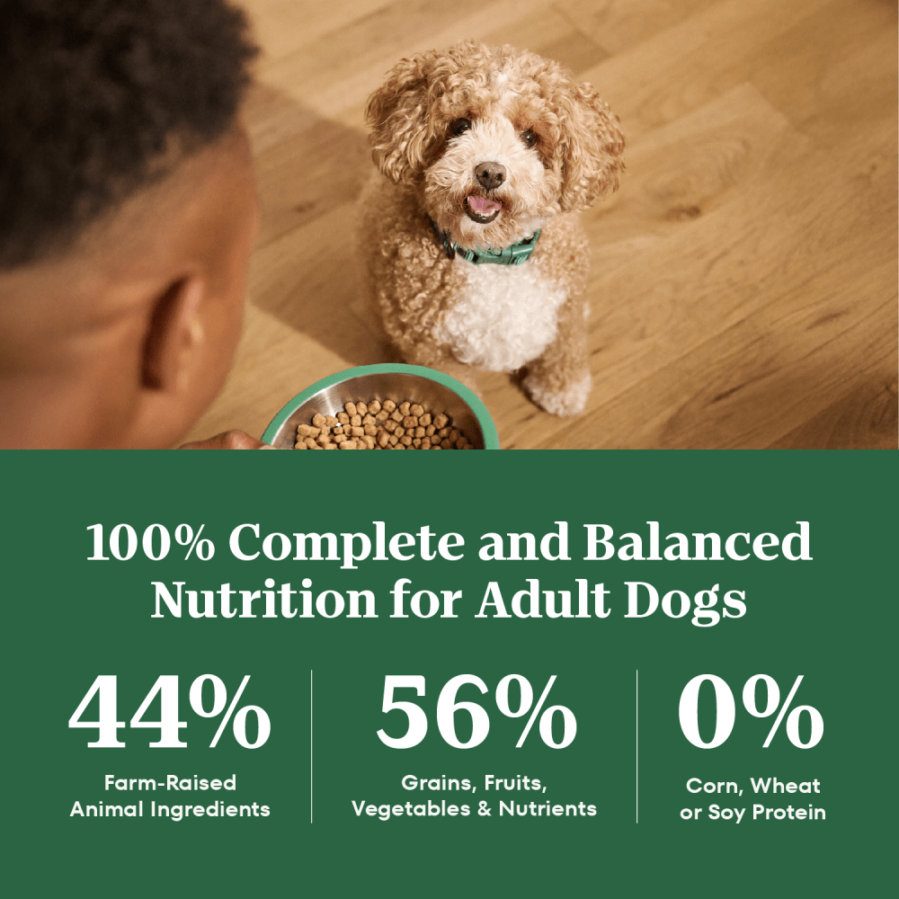 Natural Choice Adult Small Bites Dog Food, Chicken & Brown Rice Recipe guaranteed analysis image
