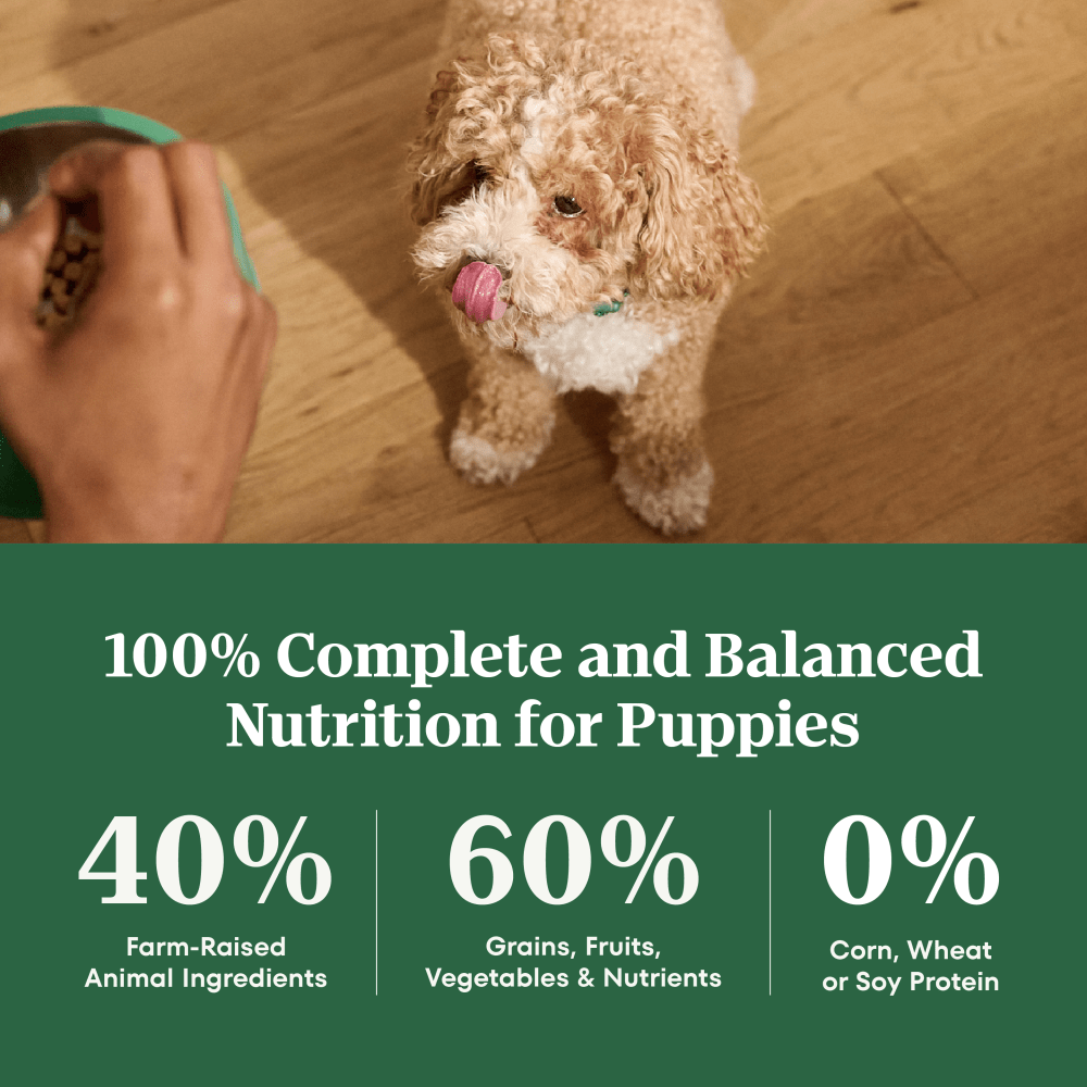 Natural Choice Large Breed Puppy Food Dry, Lamb & Brown Rice guaranteed analysis image